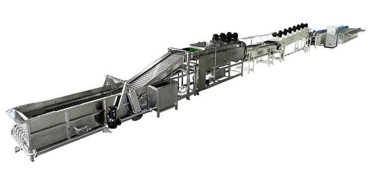 images/1711009618296dragon fruit sorting line.jpg